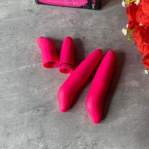 Dolphin Vibrator